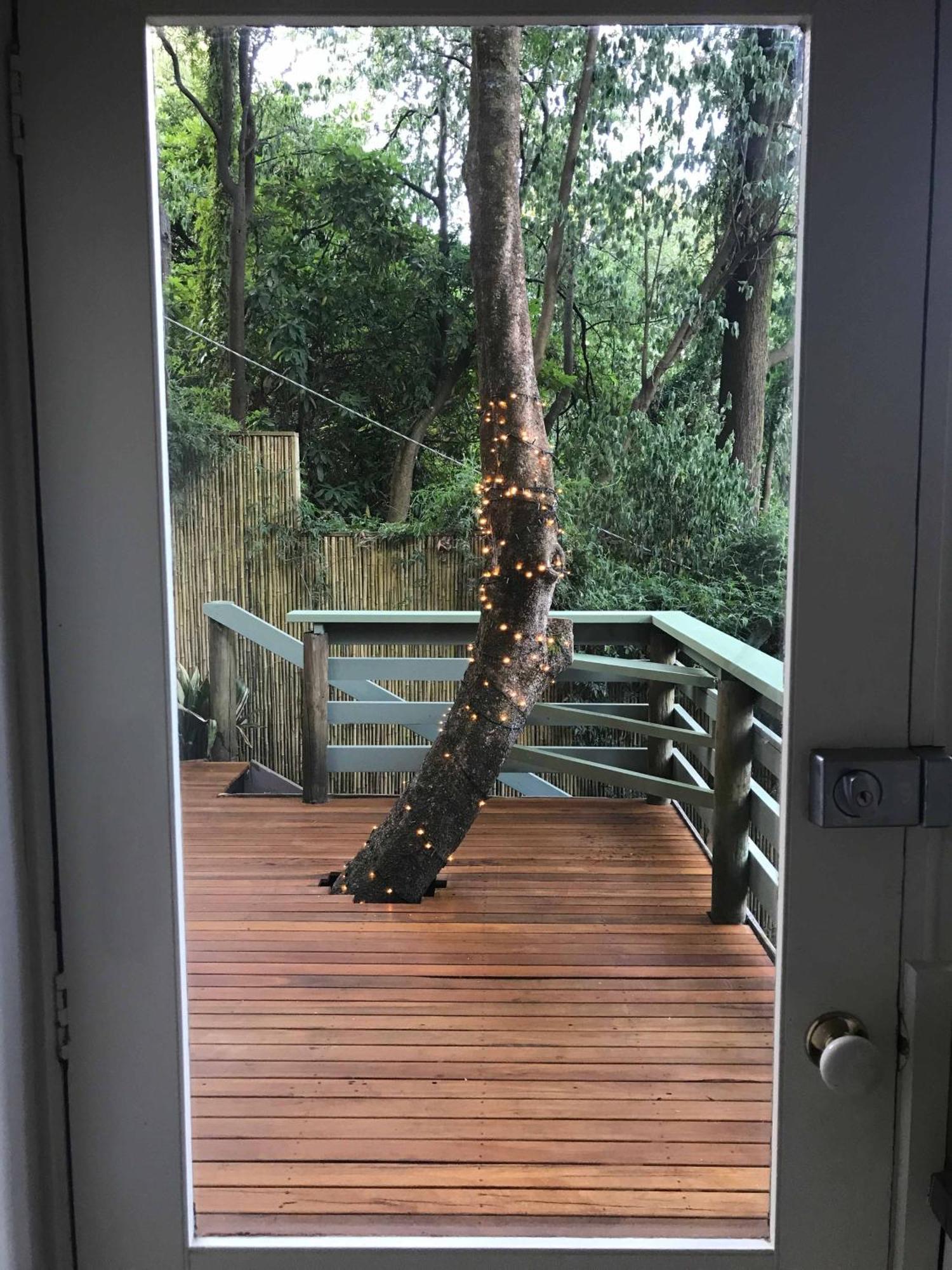 Sassafras Treehouse Private Home In The Dandenong Ranges, Victoria Bagian luar foto