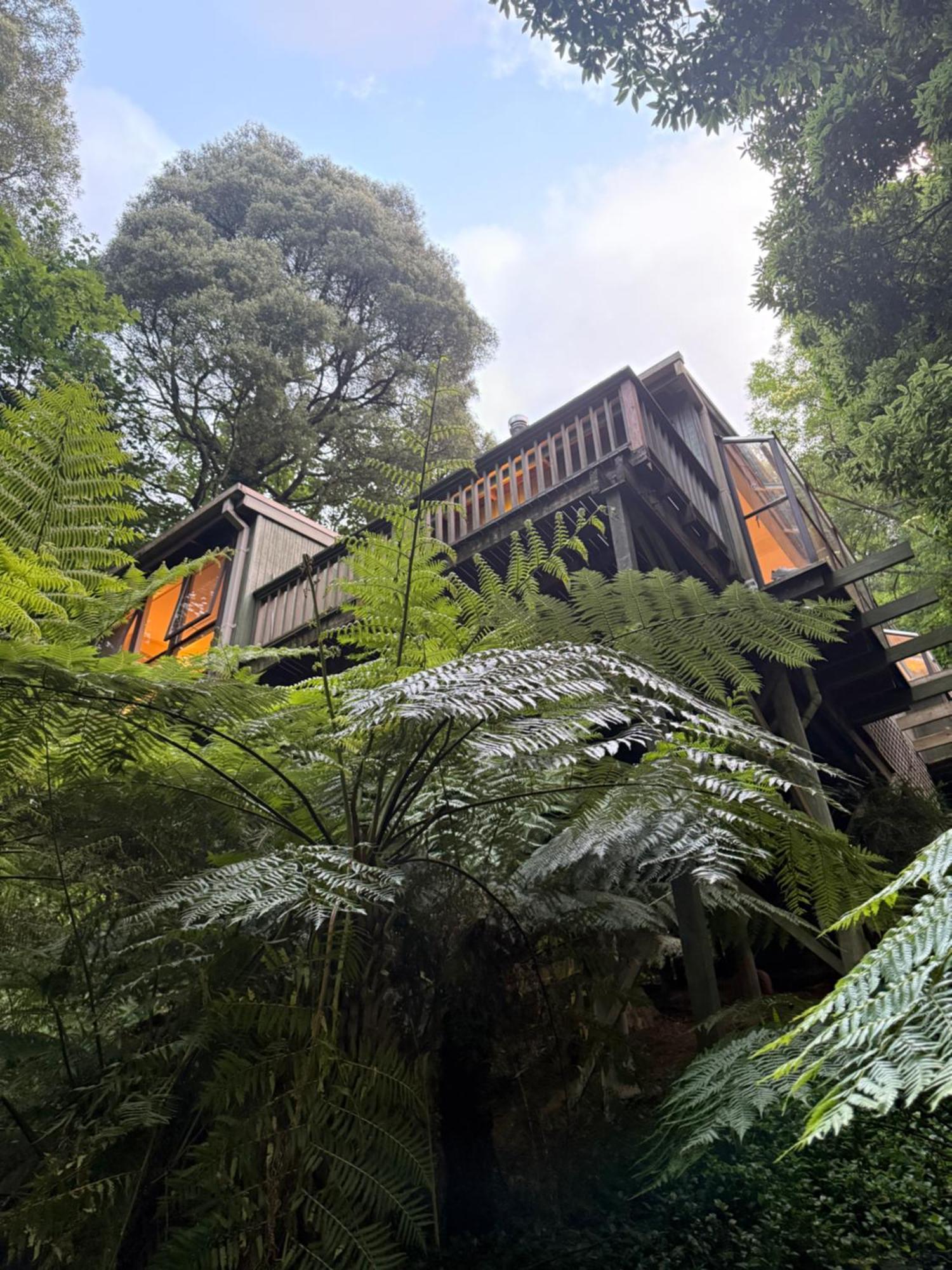 Sassafras Treehouse Private Home In The Dandenong Ranges, Victoria Bagian luar foto