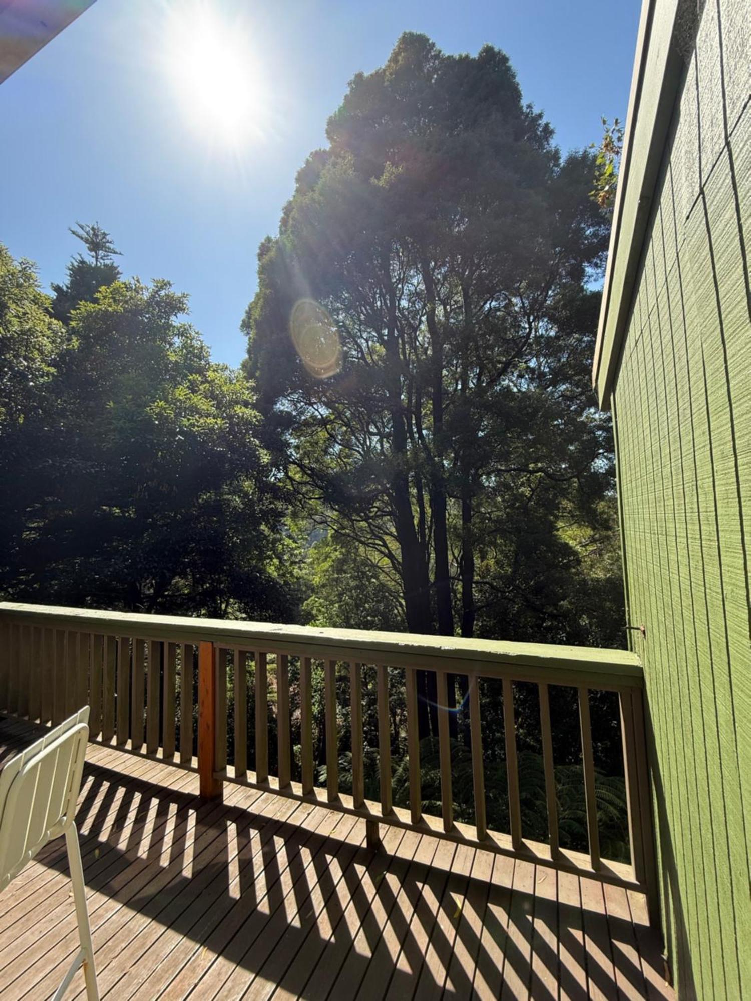 Sassafras Treehouse Private Home In The Dandenong Ranges, Victoria Bagian luar foto